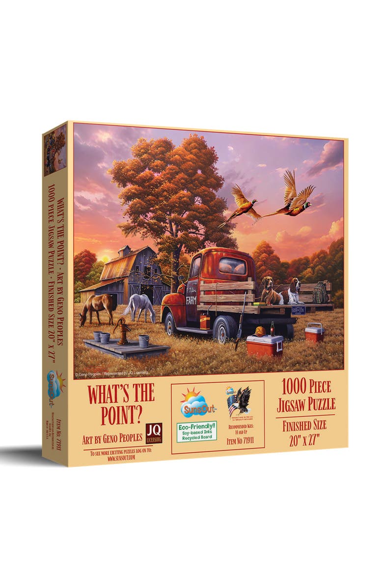 Sunsout What's the Point 1000 piece Jigsaw Puzzle for Adults, Main, color, Multicolor