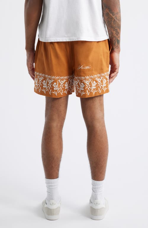 Native Youth Kingsley Regular Fit Embroidered Cotton & Linen Shorts In Rust