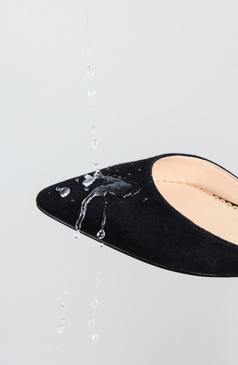 Foot Petals Shoe Water & Stain Repellent Spray, Alternate, color,