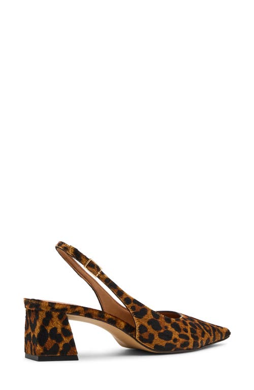 Steve Madden Robyn Pointed Toe Slingback Pump In Brown