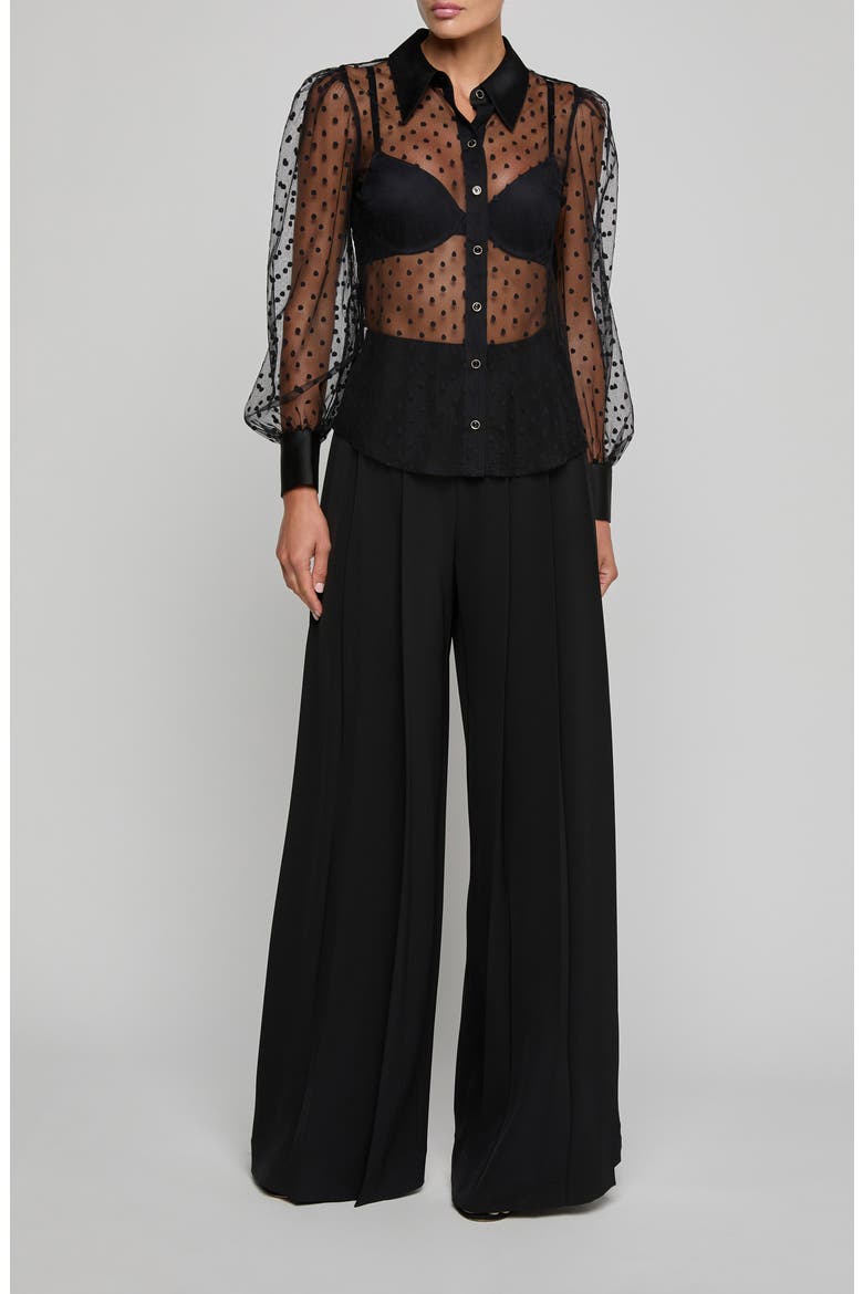 Sophie Swiss Dot Sheer Mesh Button-Up Shirt, Alternate, color, BLACK