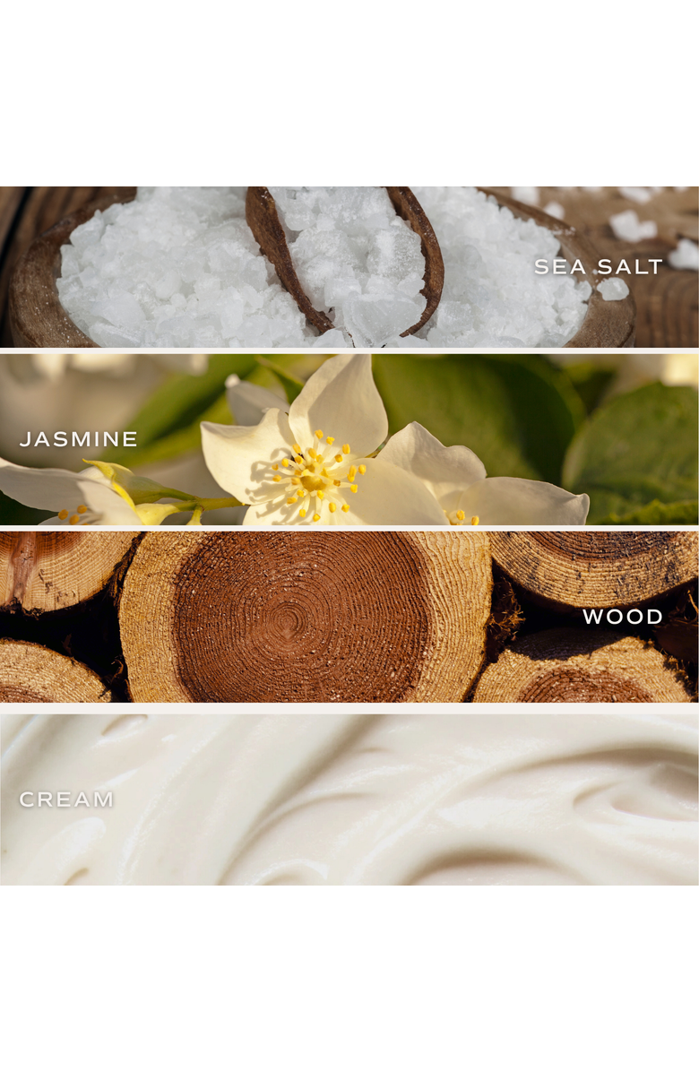 SWEET WATER DECOR 15oz Matte Jar Candle - Sweet Scents, Alternate, color, Spa Day