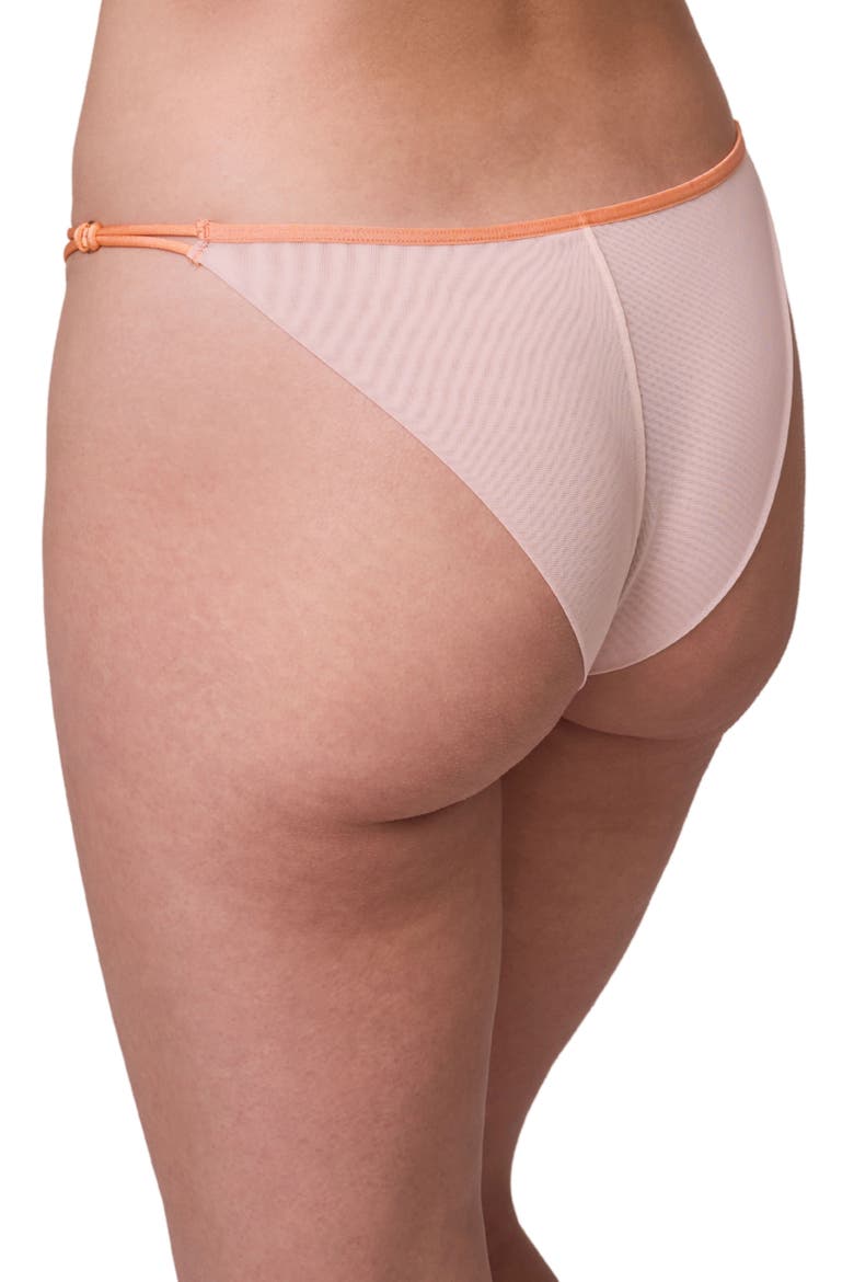 Tangerine Dream Embroidered Sheer Mesh Bikini Briefs, Alternate, color, CHAMPAGNE/ TANGERINE