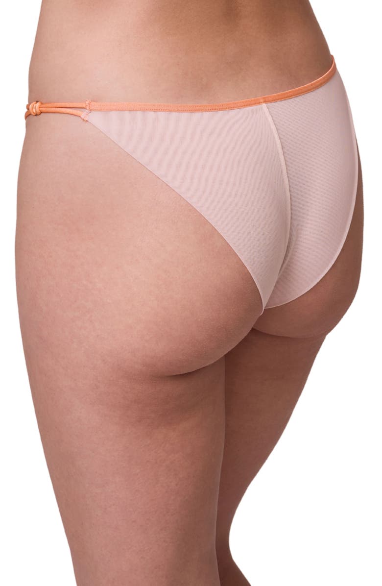 Montelle Intimates Tangerine Dream Embroidered Sheer Mesh Bikini Briefs, Alternate, color, 