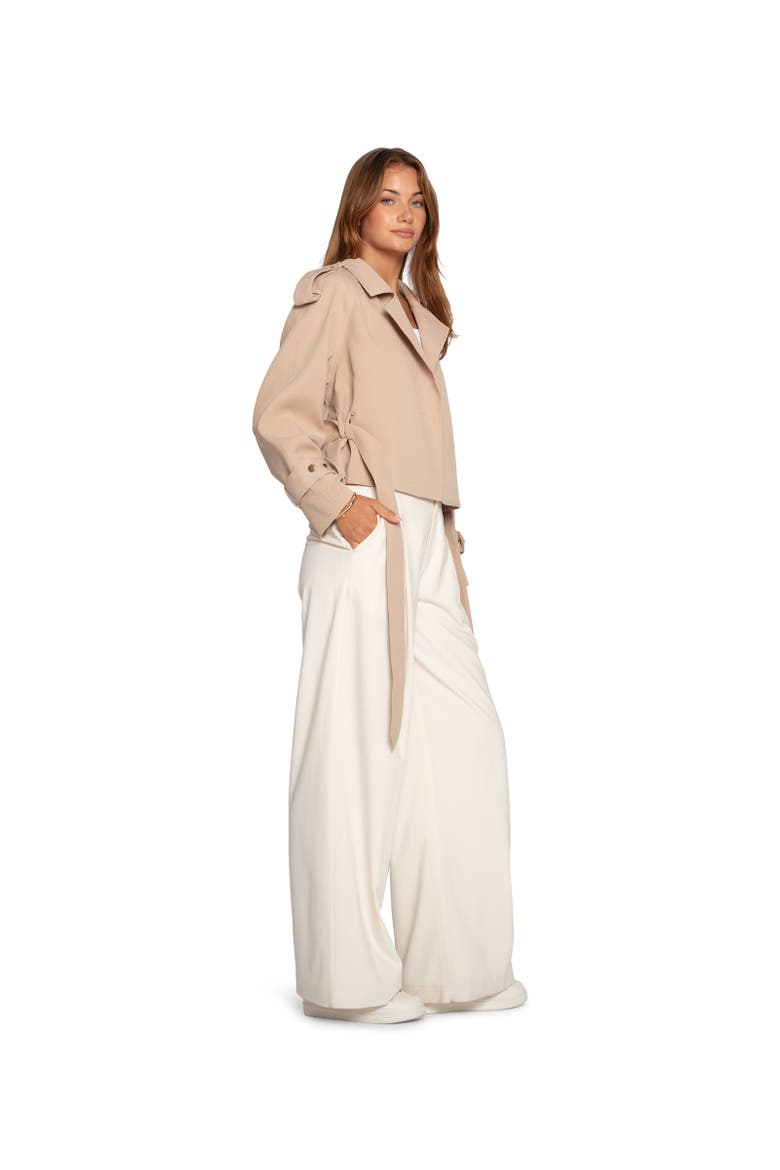 Fast Car Cropped Trench, Alternate, color, Light Beige