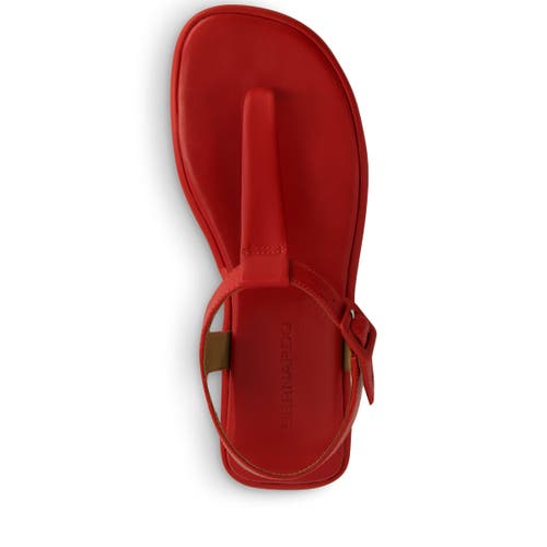Shop Bernardo Footwear Tucson T-strap Sandal In Red