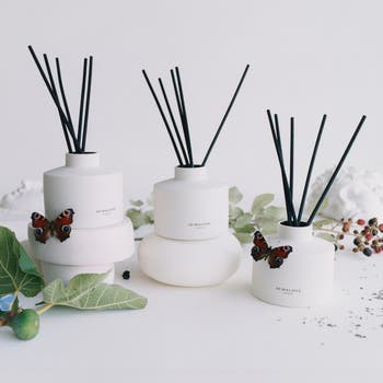 Jo Malone London™ Wild Berry & Bramble Reed Diffuser | Nordstrom