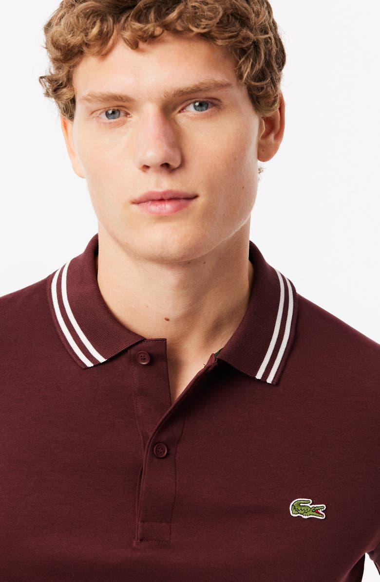 Lacoste Regular Fit Tipped Cotton Polo, Alternate, color, 
