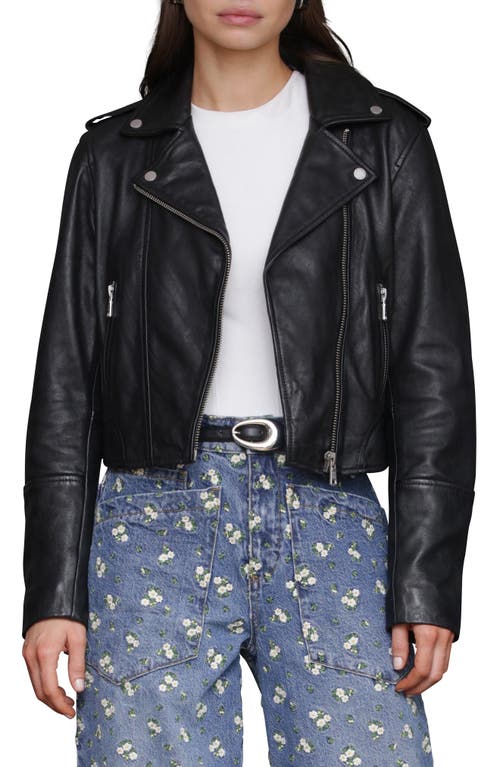 Avec Les Filles Leather Biker Jacket