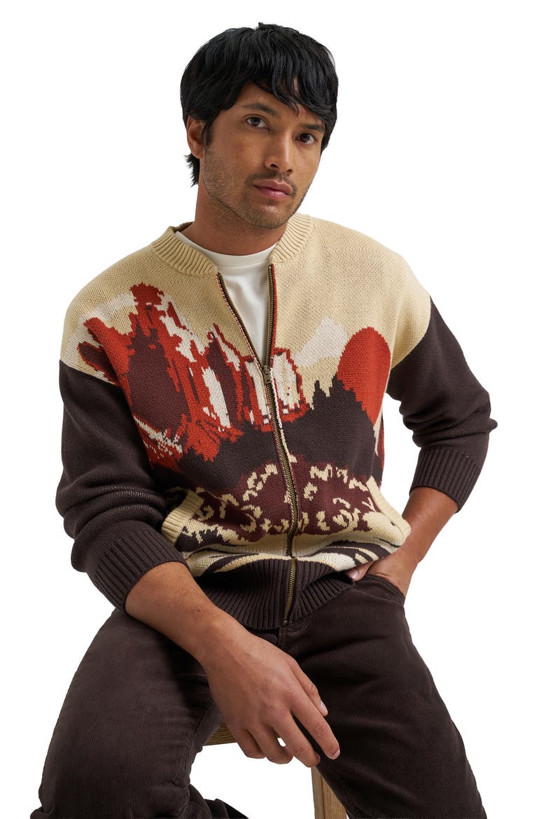 Desert Graphic Zip Cardigan, Alternate, color, AZTEC CHOCOLATE TORTE