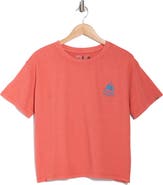 C & C California Toni Boxy Cotton Crop Tee