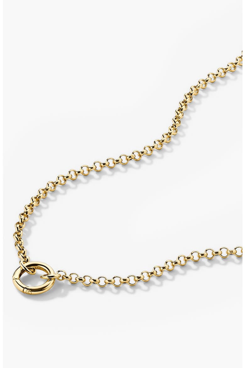 Rolo Chain Charm Necklace, Alternate, color, Yellow Gold