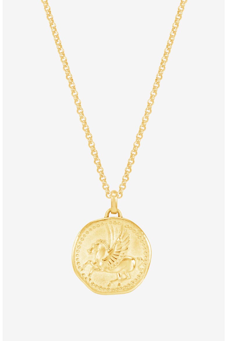 Men's 'Overcome and Thrive' Pegasus Talisman Necklace, Main, color, Yellow Gold Vermeil