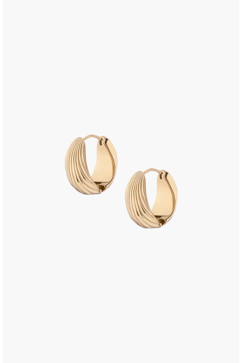 Shell Hinged Hoop Earrings, Main, color, Yellow