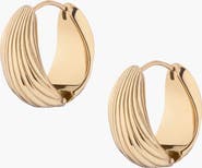 Aurate Shell Hinged Hoop Earrings