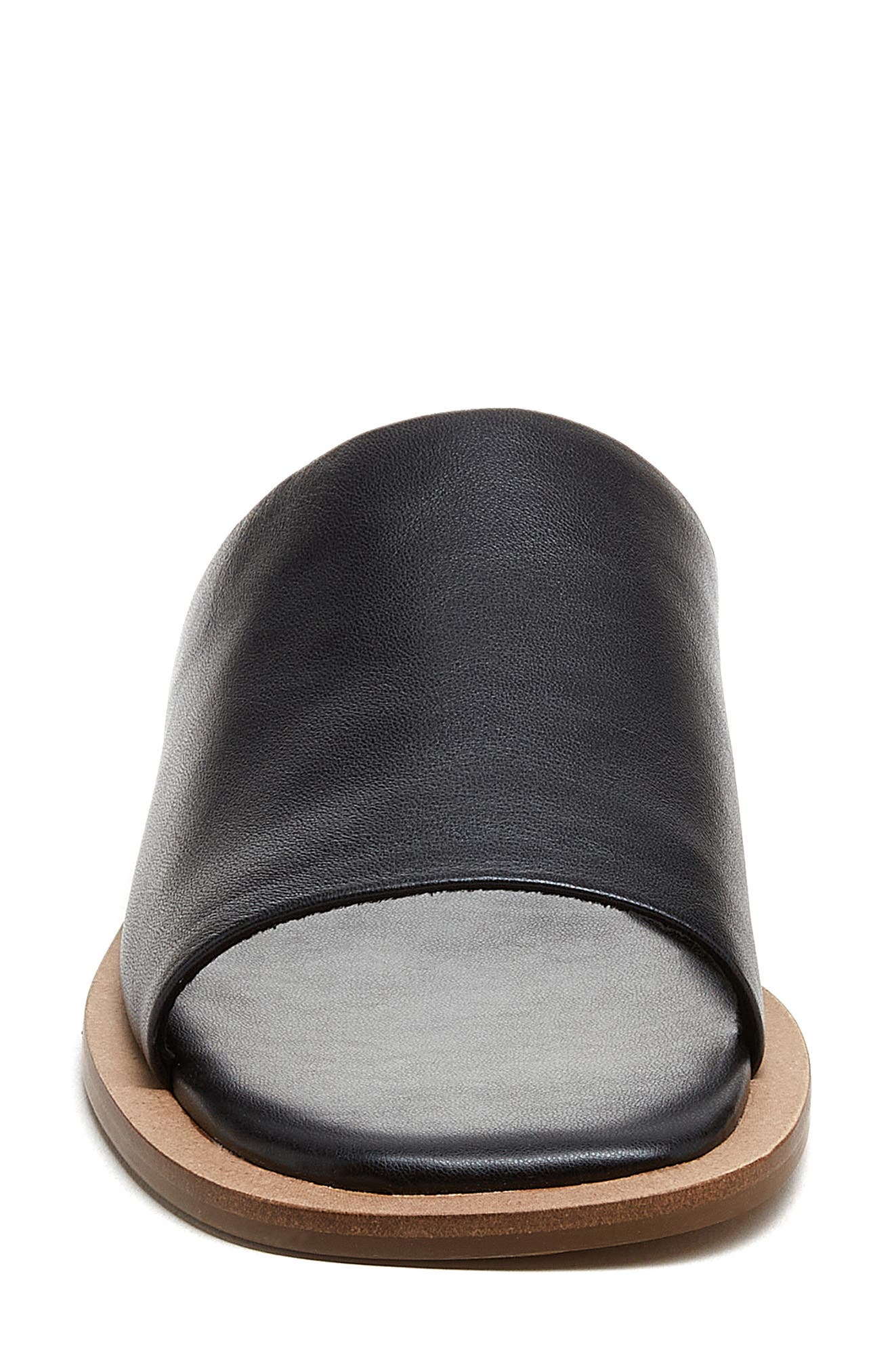 Kelsi Dagger Brooklyn Benny Slide Sandal, Alternate, color, Black