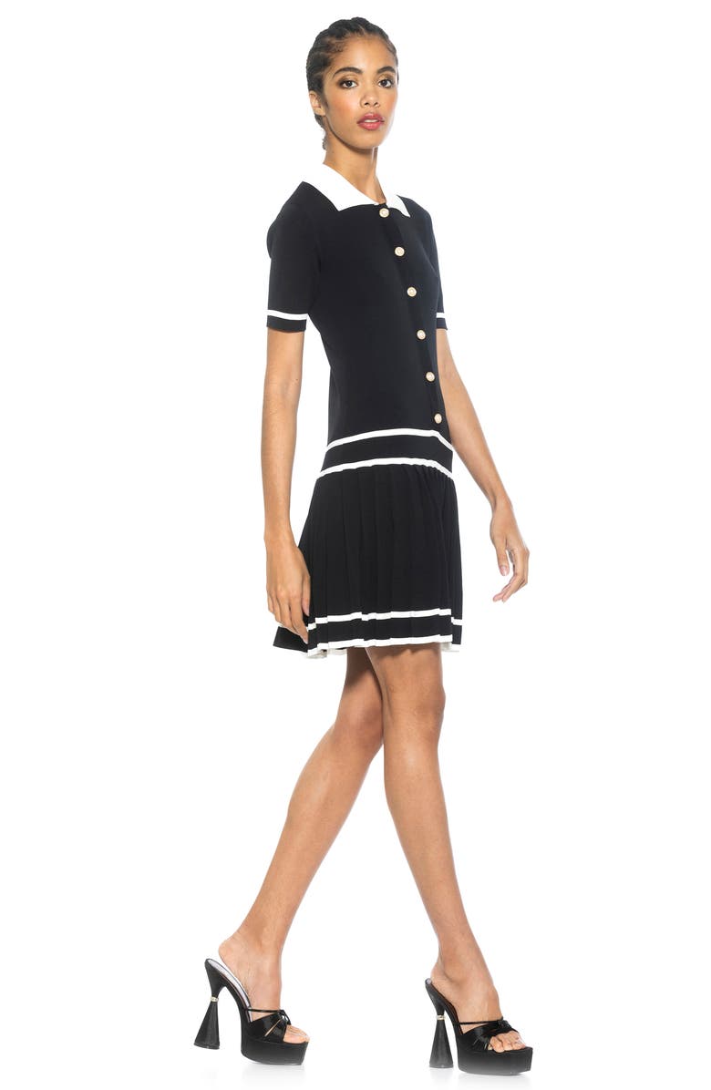 Alexia Admor Lucinda Short Sleeve Dress, Alternate, color, Black
