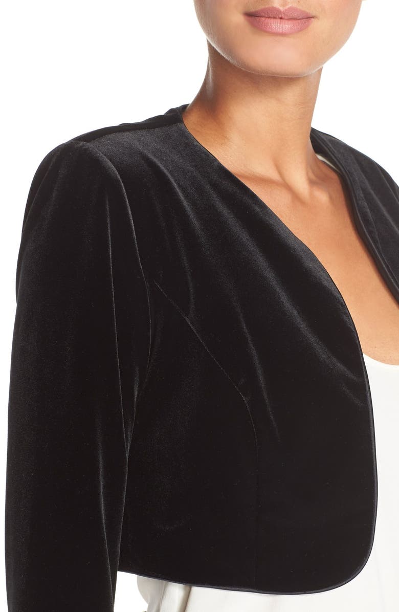 Alex Evenings Georgette Overlay Pants, Alternate, color, Black