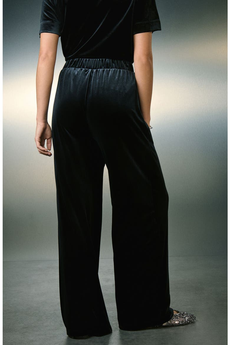 Velvet Wide Leg Pants, Alternate, color, BLACK