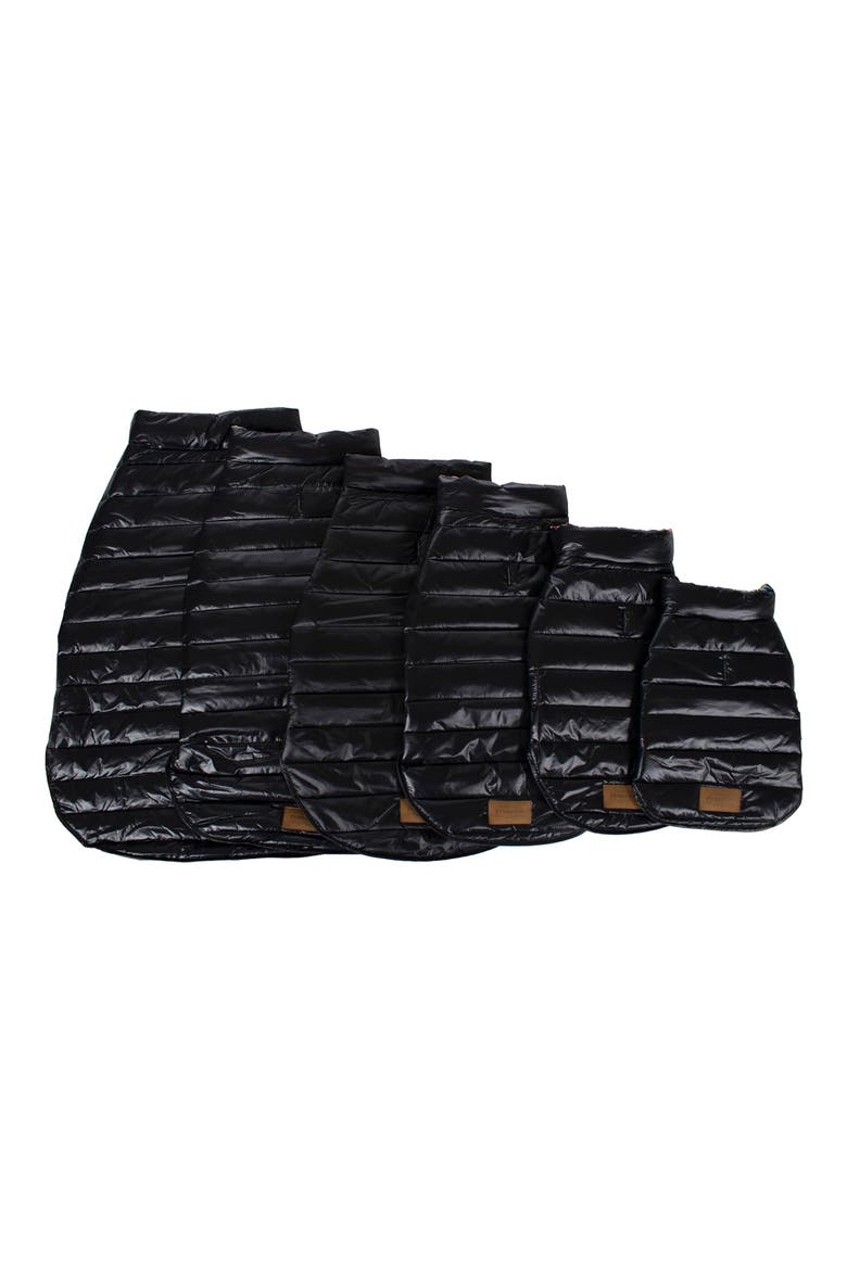 Puffer Dog Coat, Alternate, color, CENTURY HARDING - BLACK