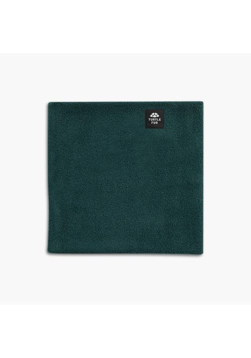 Turtle Fur Youth Double-layer Fleece Neck Warmer In Green