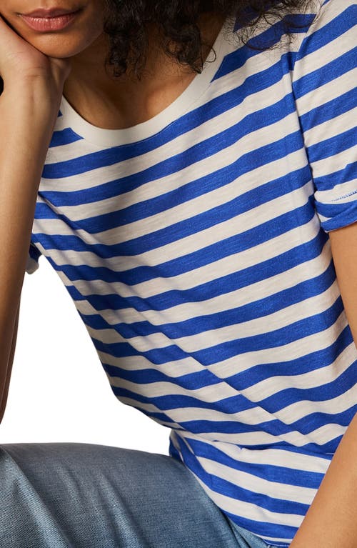 Sanctuary Abstract Print Cotton T-shirt In Cobalt/white Stripe