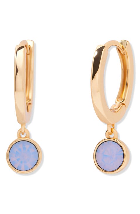 Victoria Drop Hoop Earrings