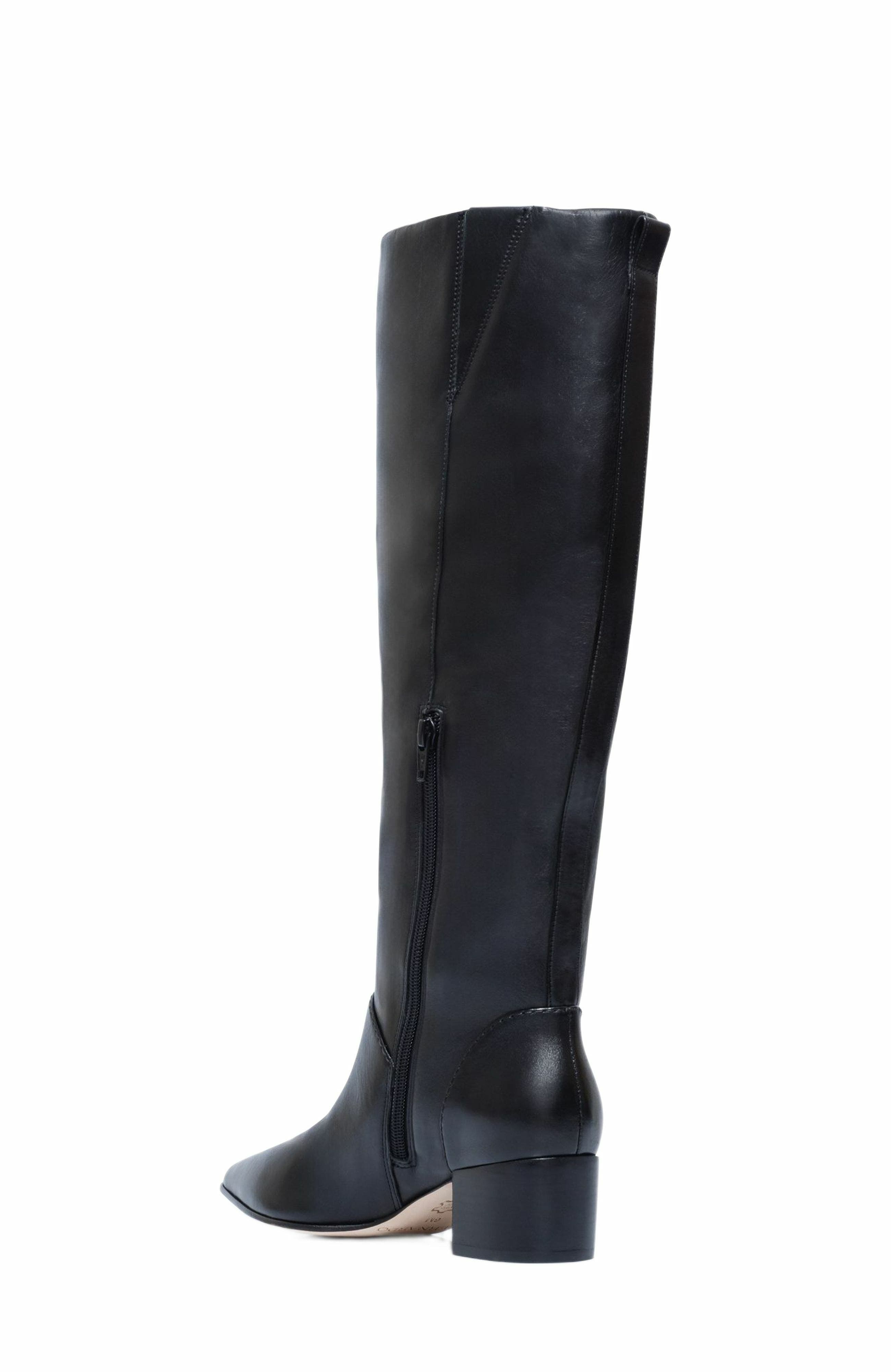 Milano Knee-High Pointed Toe Boot, Alternate, color, BLACK