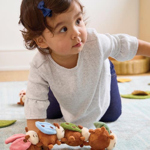 Kaplan Early Learning Company Crinkle And Texture Magnetic Ladybug Set In Multi