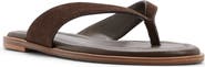 ALDO Autumnlee Flip Flop