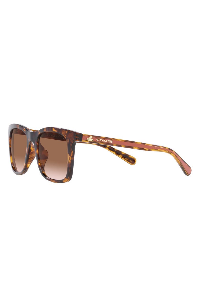 COACH 51mm Gradient Square Sunglasses, Alternate, color, Dk Tort
