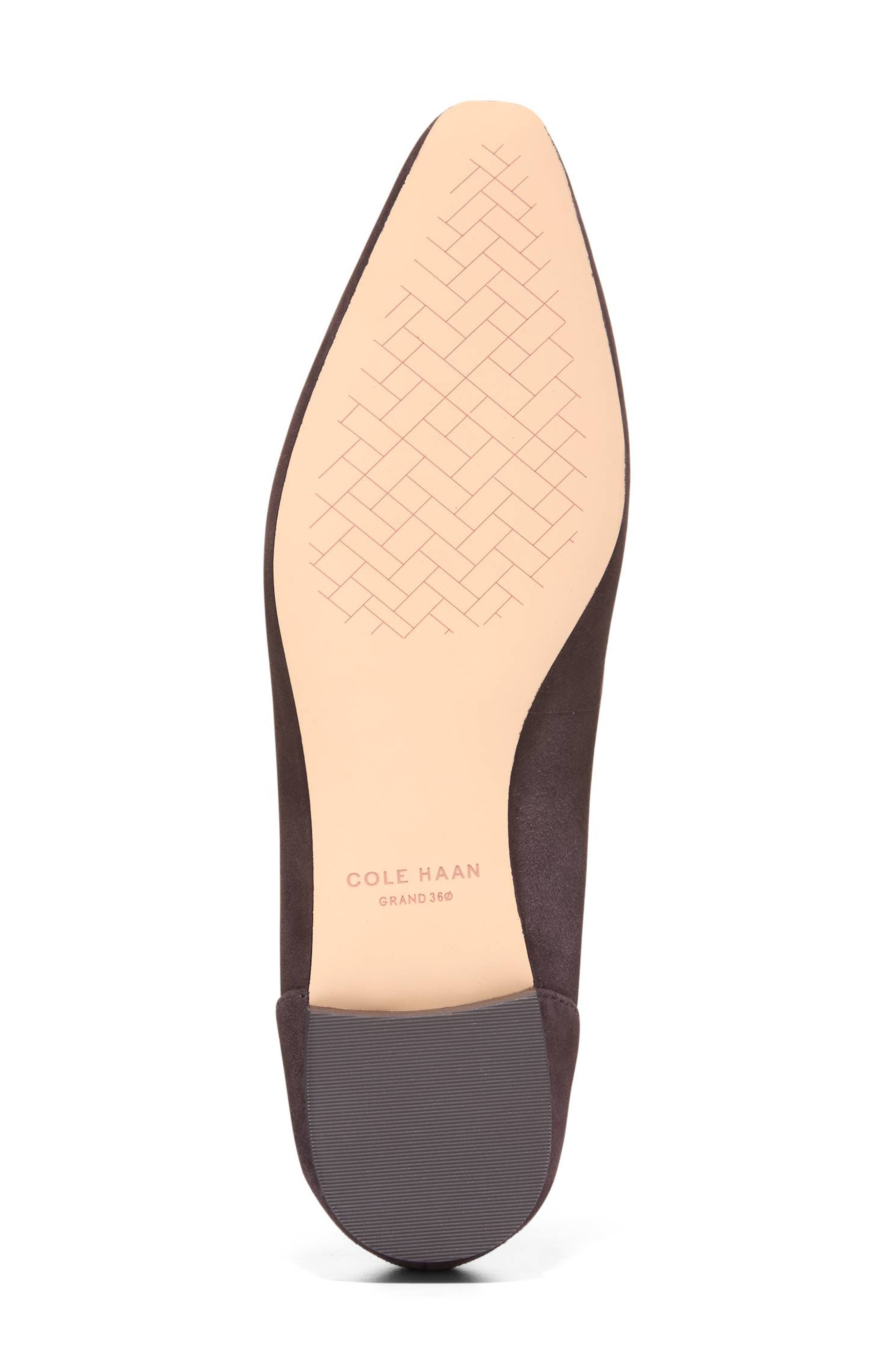Paget Leather Ballet Flat, Alternate, color, DARK CHOCOLATE SUEDE