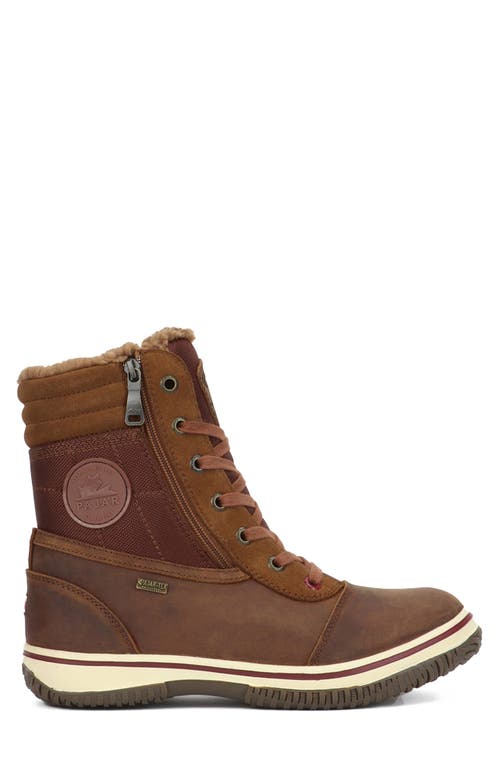 Pajar Trooper 2.0 Waterproof Boot In Brown