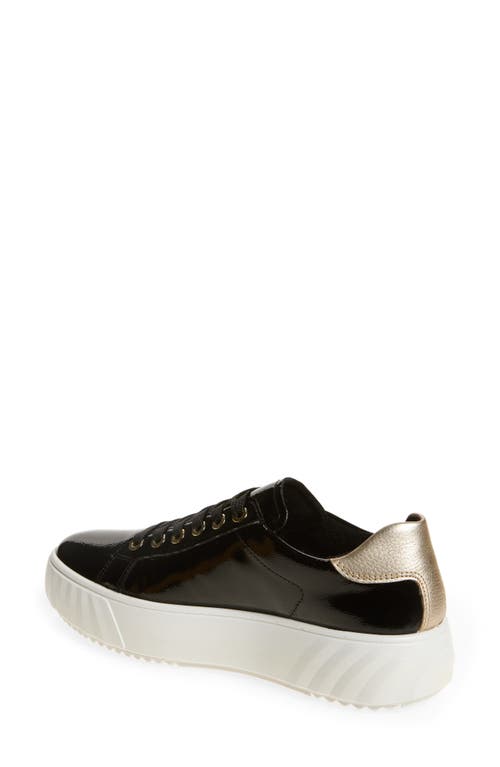 Ara Mikky Platform Sneaker In Black
