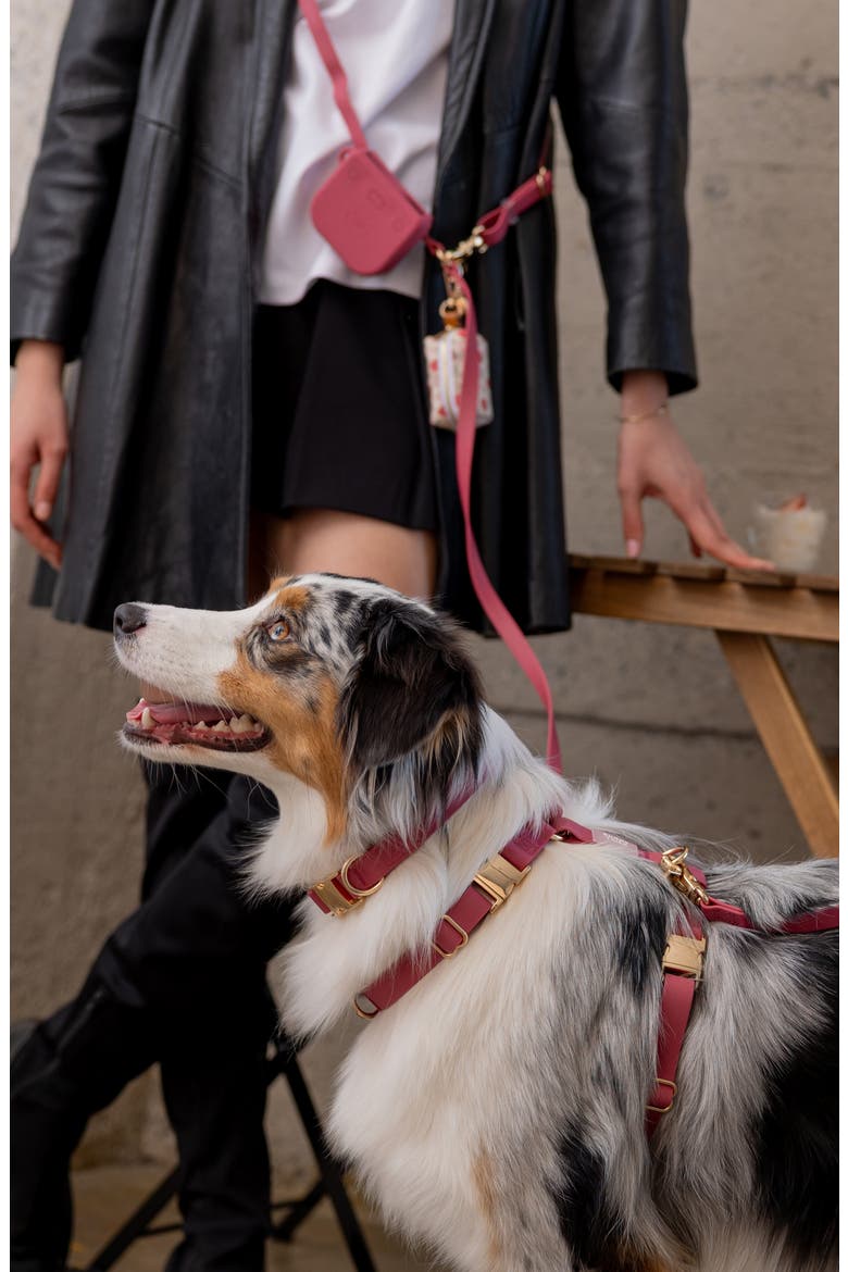 Cloud Waterproof Dog Collar, Alternate, color, MULBERRY BURGUNDY