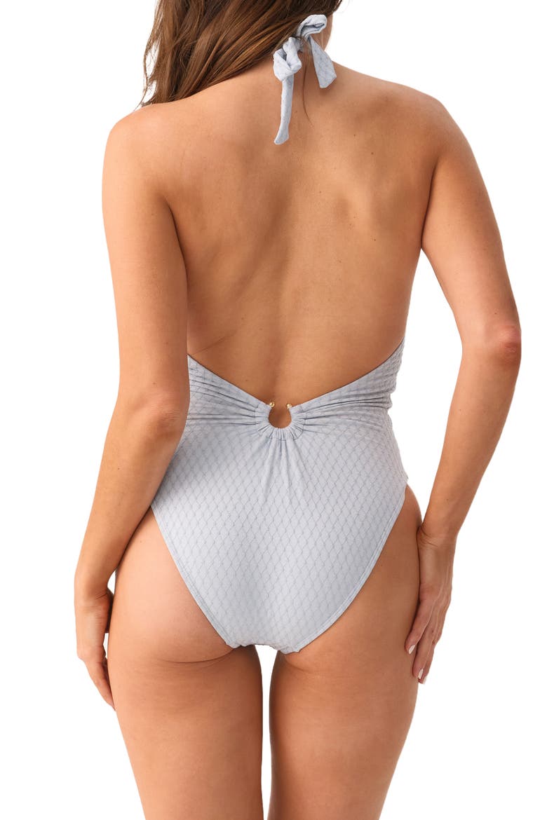 Plunge Detail Halter One-Piece Swimsuit, Alternate, color, TALLULAH