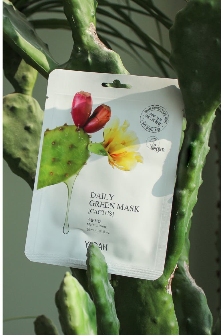 Daily Green Cactus Sheet Mask, Alternate, color, NO COLOR