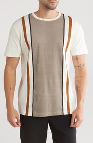 Cactus Man Stripe & Colorblock T-Shirt