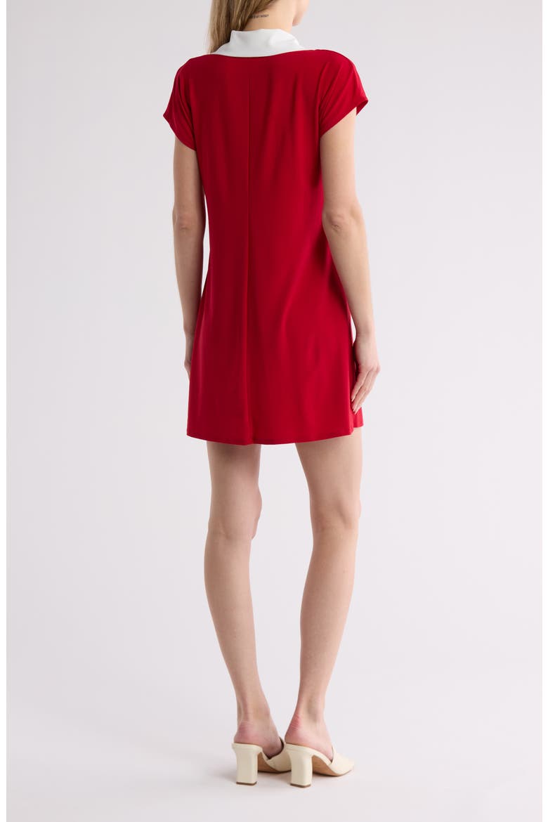 Polo Dress, Alternate, color, RED WHITE