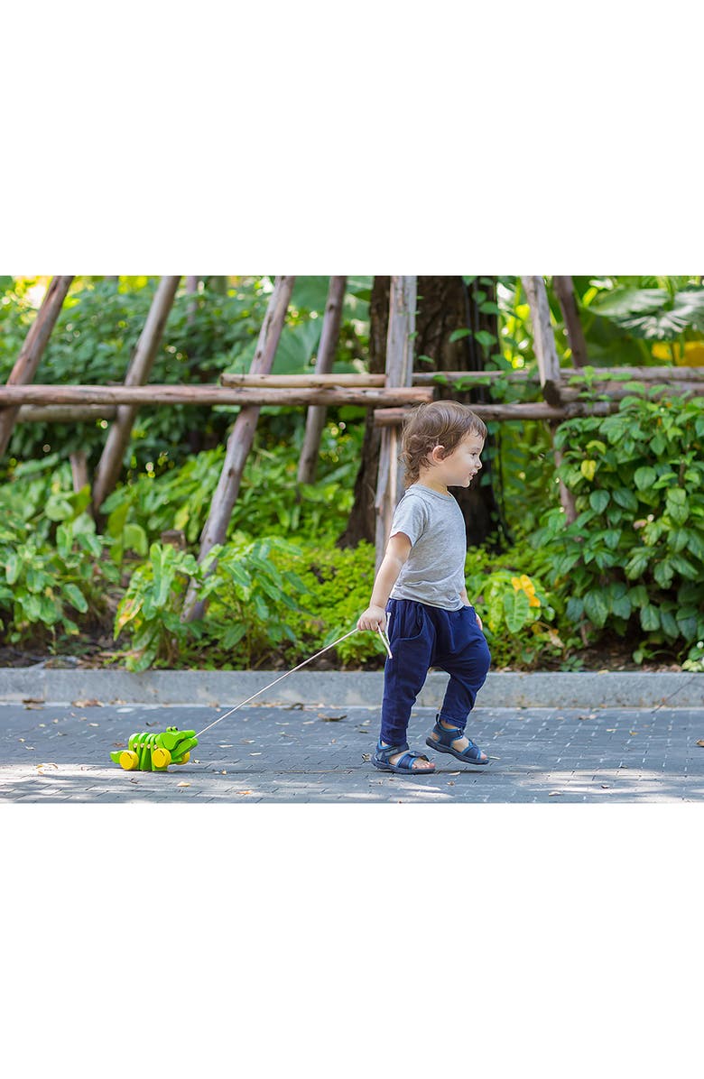 PlanToys<sup>®</sup> Dancing Alligator Pull Toy, Alternate, color, Green