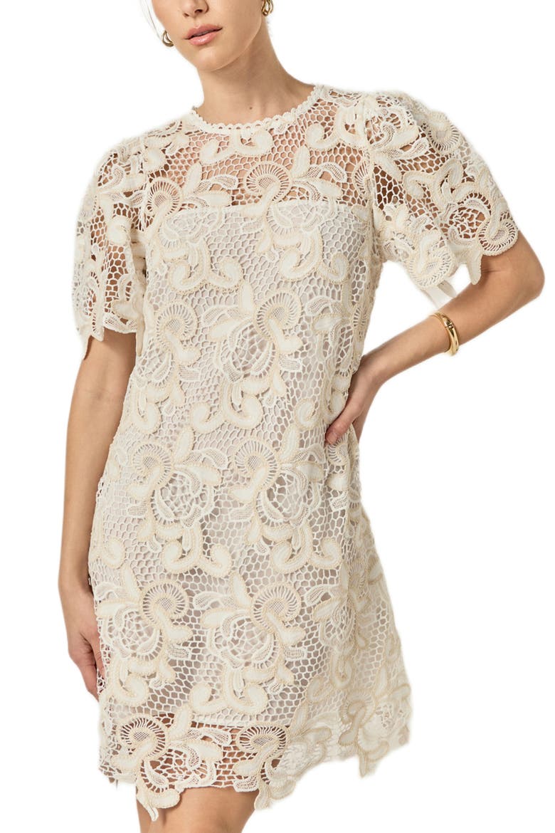 Embroidered Floral Minidress, Alternate, color, NATURAL