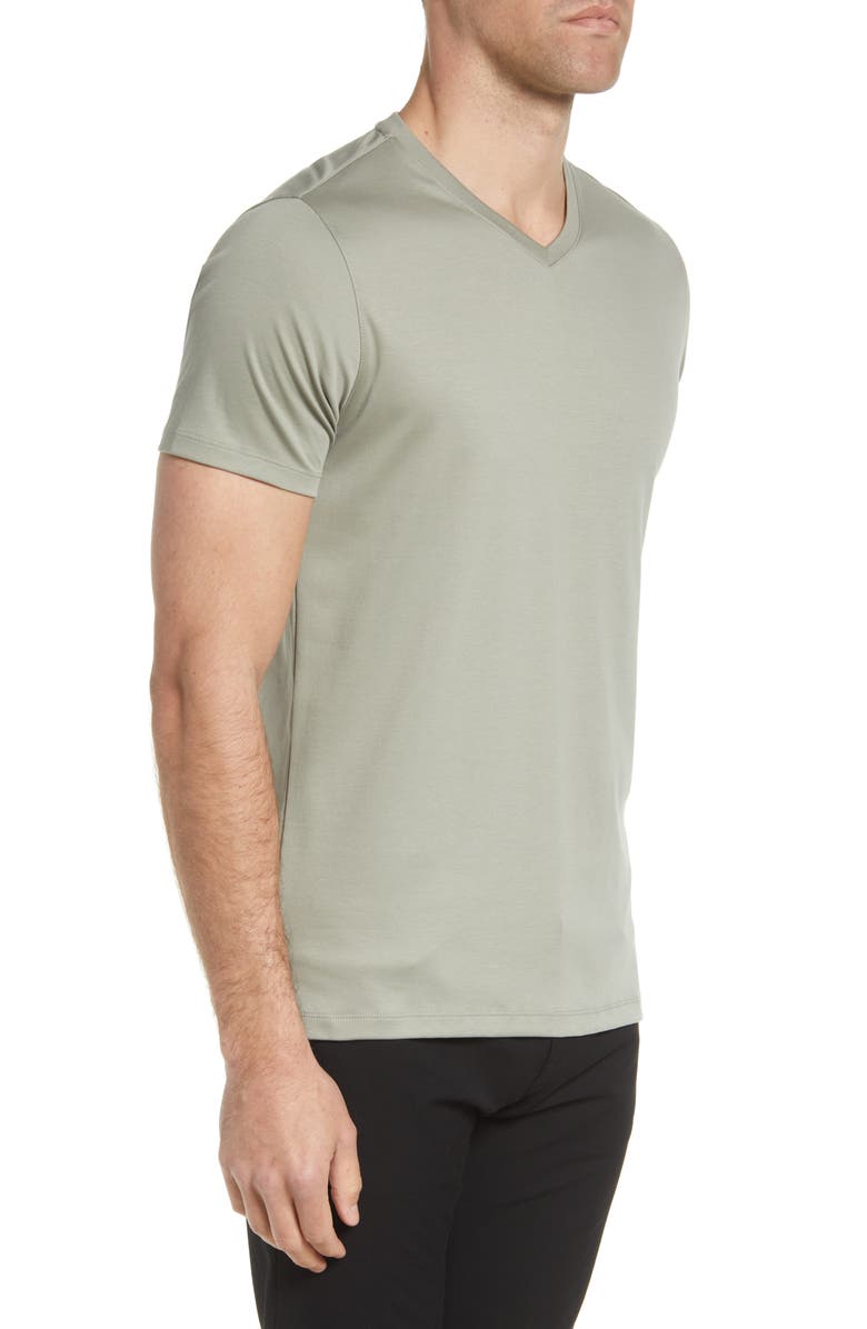 Robert Barakett Georgia Regular Fit V-Neck T-Shirt, Alternate, color, Dried Sage