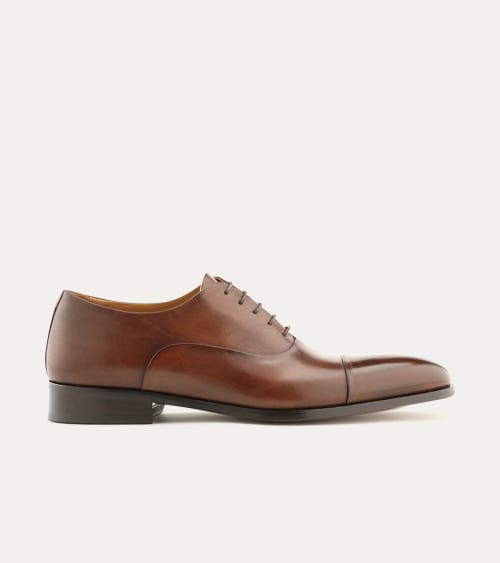 Ace Marks Griffin Cap Toe Oxford In Brown