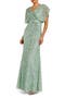 Draped Sleeve V Neck Gown