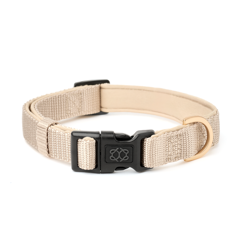 City Collar