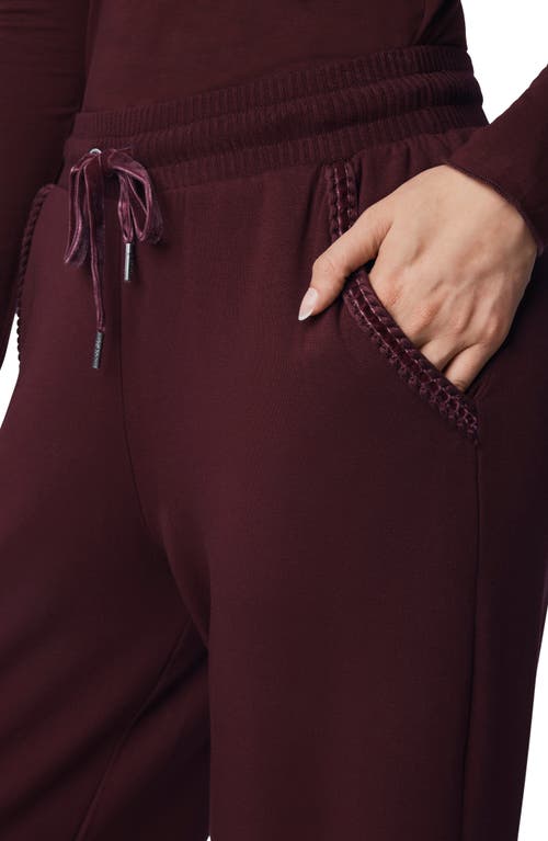 Splendid Tie Waist Wide Leg Sweatpants In Brown