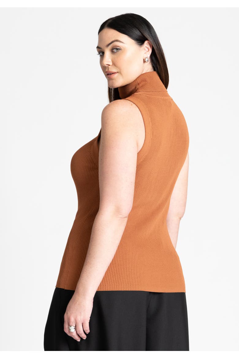 Turtleneck Layering Sweater, Alternate, color, WARM CHESTNUT
