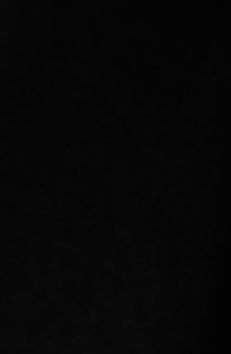 Rails Blythe Tie Front Cotton Crop Top, Alternate, color, Black