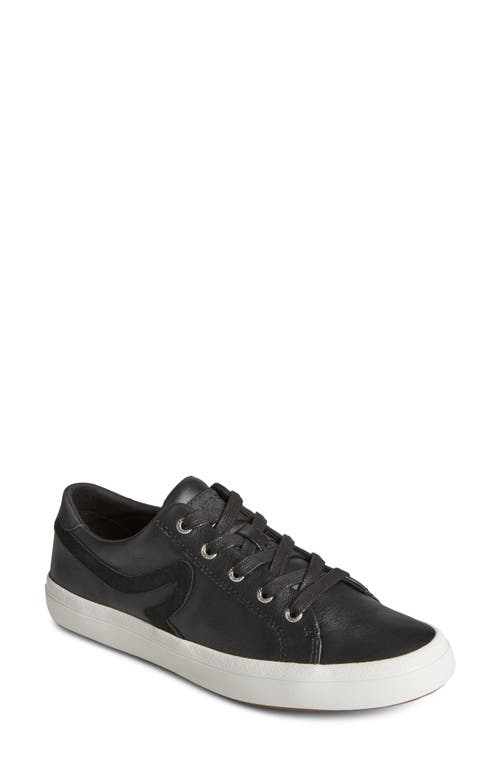 Sperry Sandy Wave Sneaker in Black 