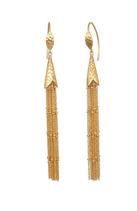 Paths in Motion Tassel Earrings